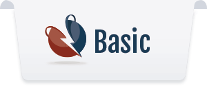 basic-pricing