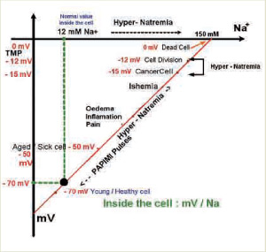prodotto_diagramma1