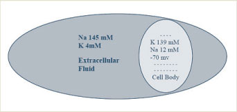 prodotto_schema1